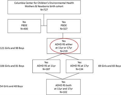 Prenatal exposure to polybrominated diphenyl ethers and inattention/hyperactivity symptoms in mid to late adolescents